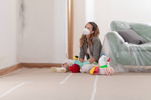 Reliable Mold Remediation contractor in Knoxville, TN by Cheap Mold Removal